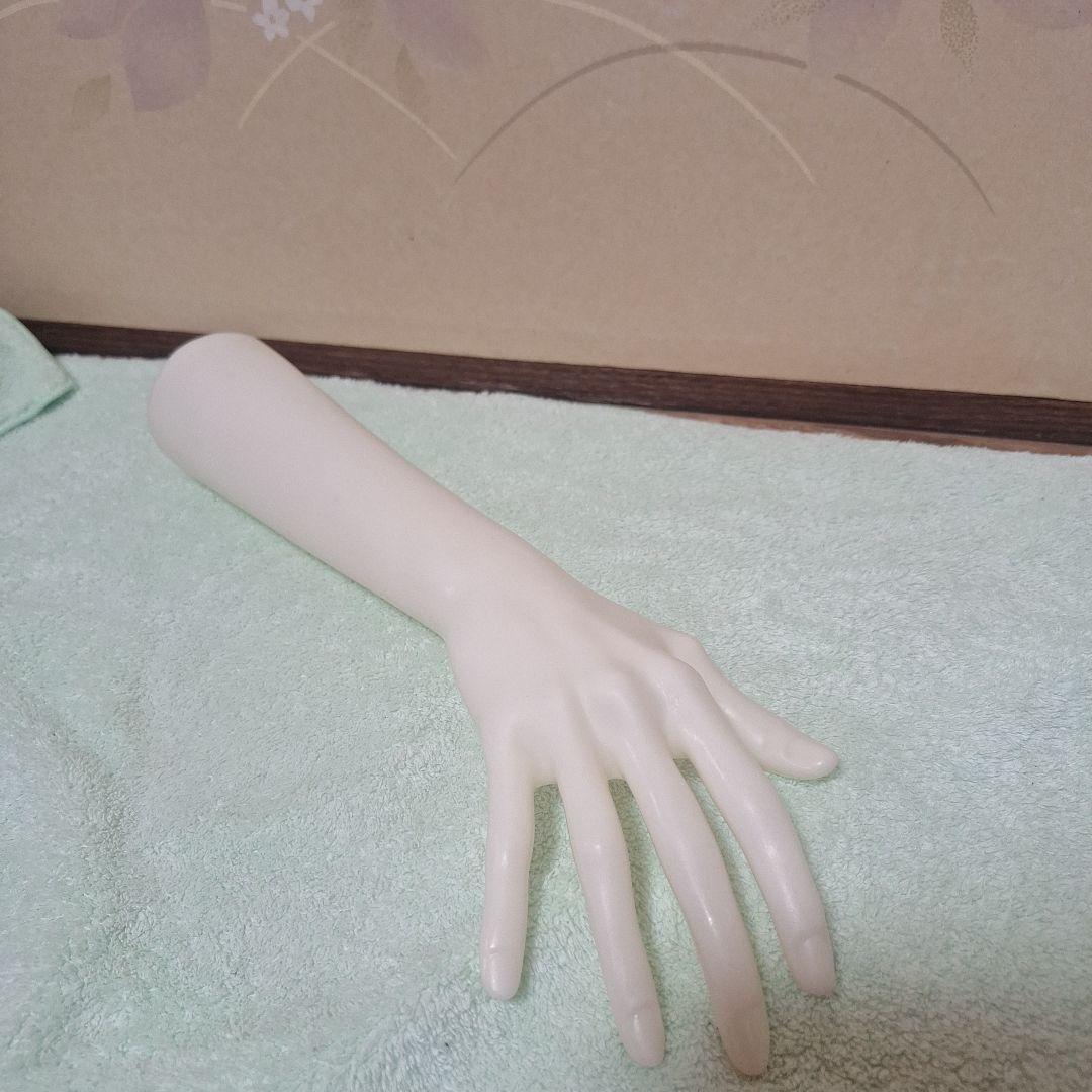 Nonna4057  ヘッドマネキン ハンドマネキン トルソー セット