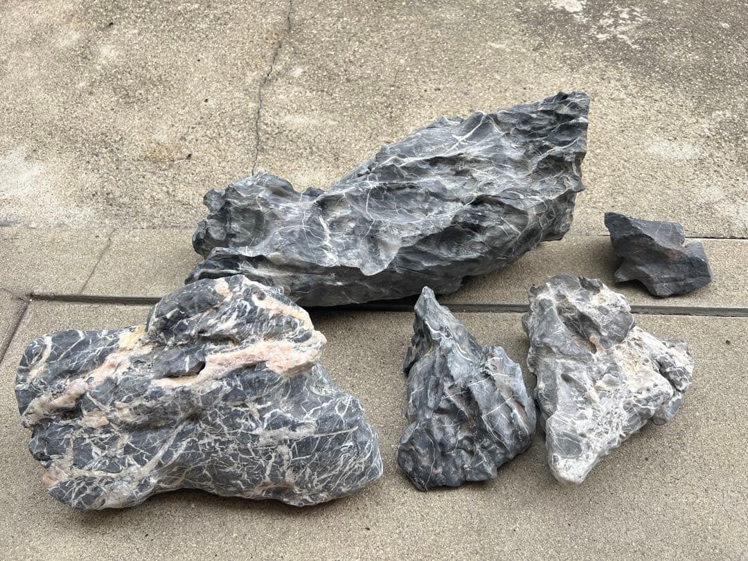 水槽用石 5個セット 竜王石