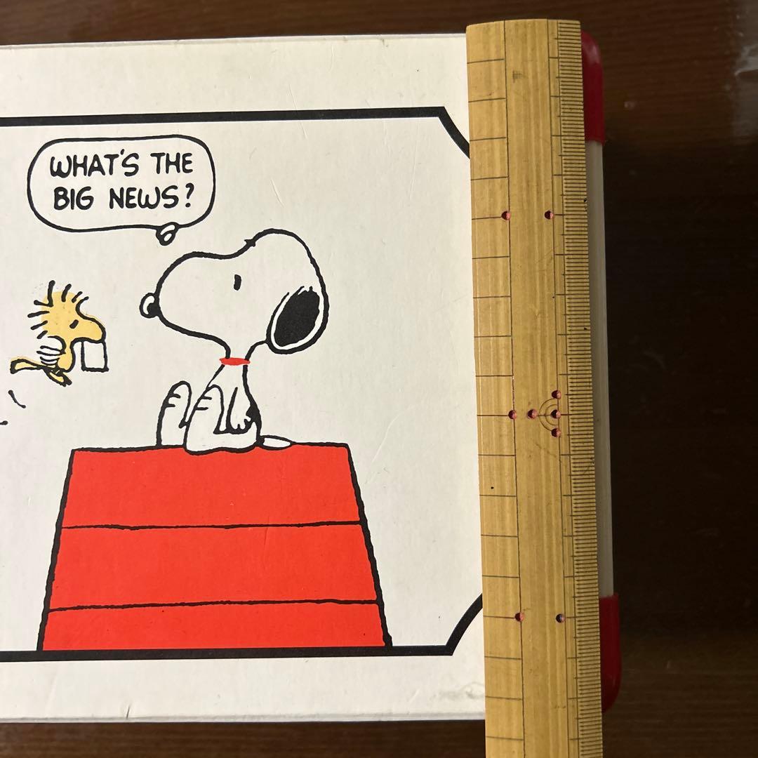 スヌーピー 小物入れ　トランク　ミニケース　ビンテージ　ミニバック