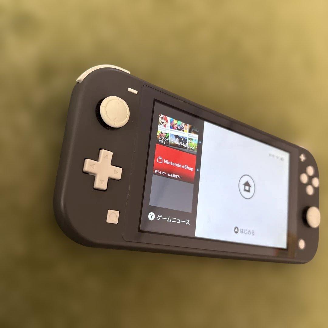 スイッチライト本体　ジャンク