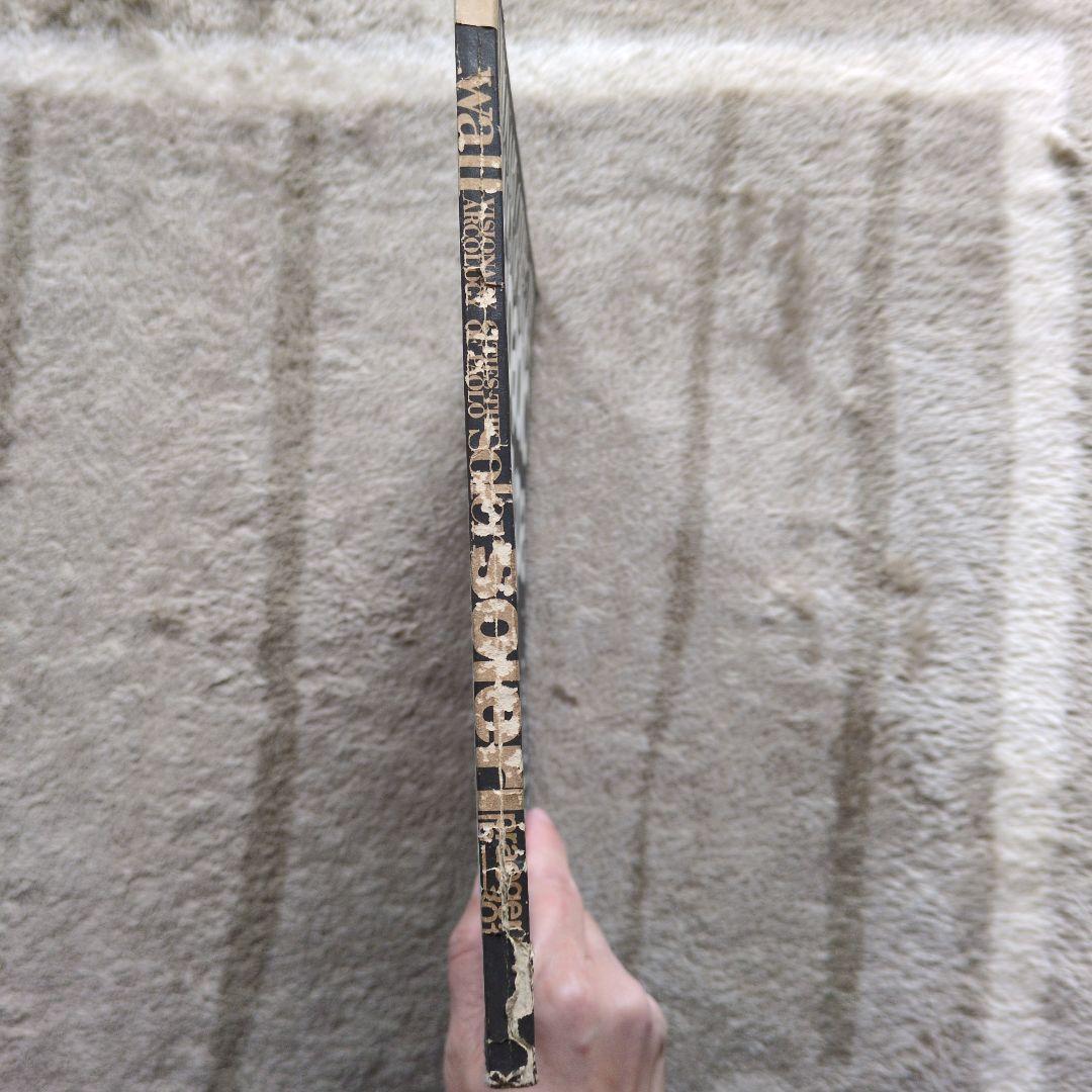 アート・デザイン・音楽 The Arcology of Paolo Soleri