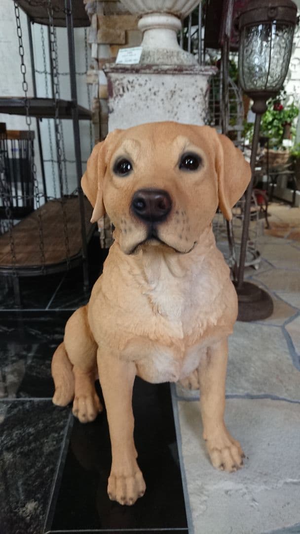 本格的なドッグオーナメントラブラドールレトリーバー