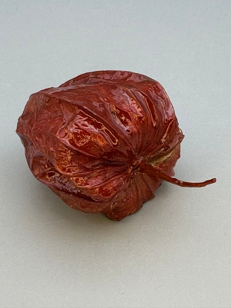 のんびり茶道具　香合　前端春斎　ホウヅキ