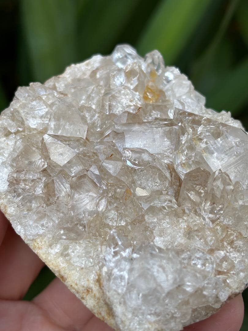 インド　メルー峰　シャークス・フィン　クラスター　希少　243g メルー水晶