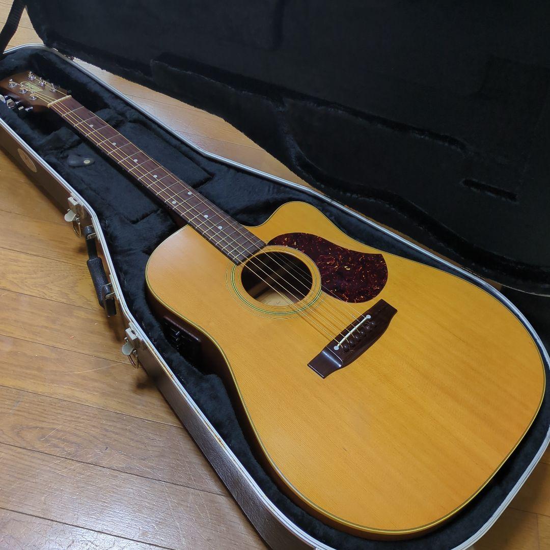 Maton エレアコ. 希少ビンテージ、トレッドノート