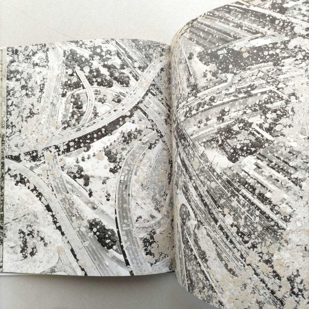 über euren Städten wird Gras wachsen/写真集