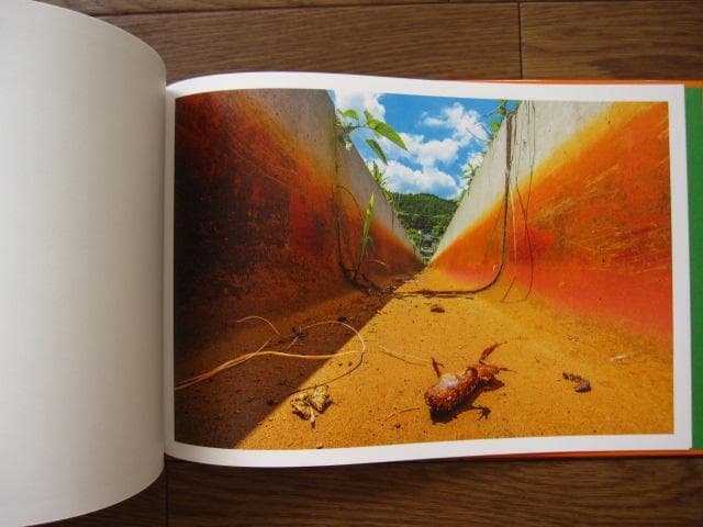 MIZO　大口勝弘　KATSUHIRO OHKUCHI　うたかた堂