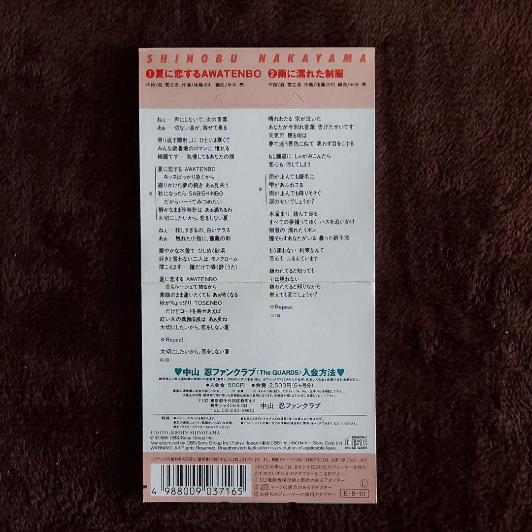 中山忍　夏に恋するAWATENBO