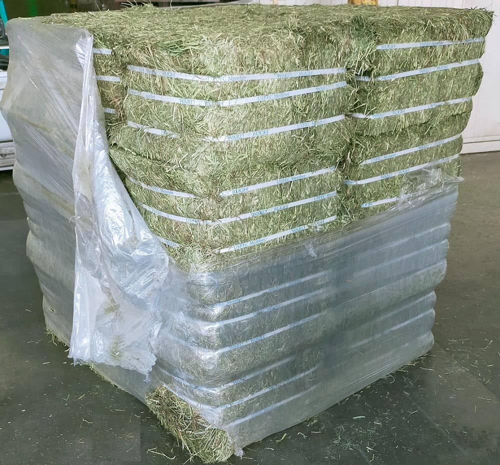 【5/31まで】US産 チモシー 60kg ２番刈 ソフトSプレミアム