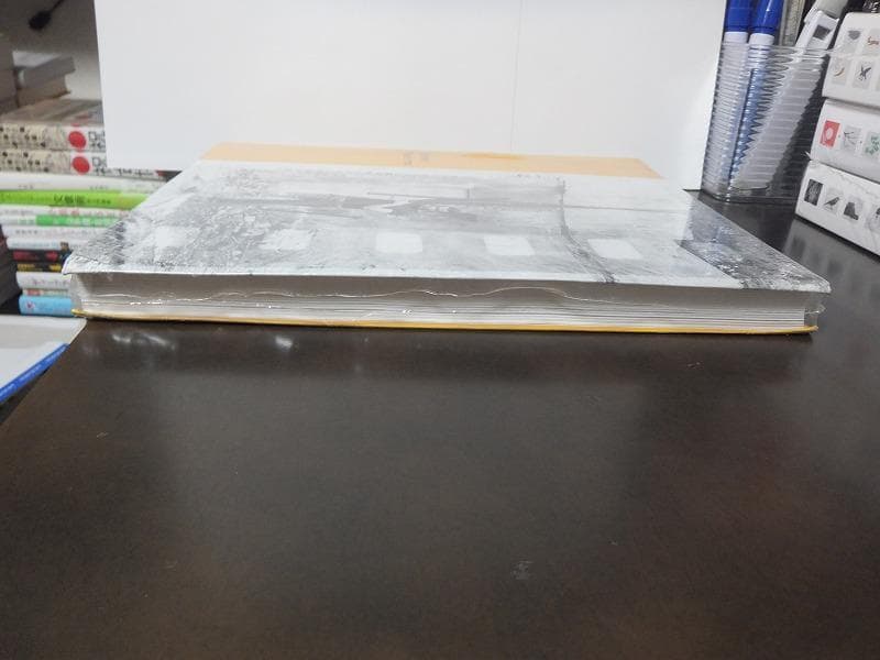 ブリンキー・パレルモ　Blinky Palermo /未開封洋書!