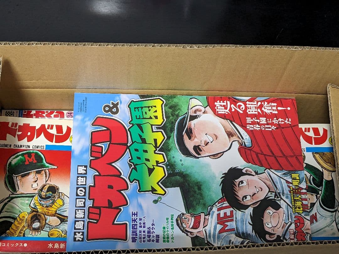 ◇ドカベン全巻 1〜48巻　＆おまけ水島新司の世界　ドカベン & 大甲子園　P8