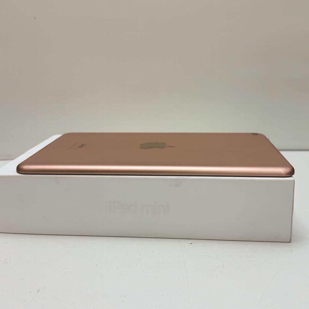 iPad Mini 第5世代 256GB Wi-Fi モデル