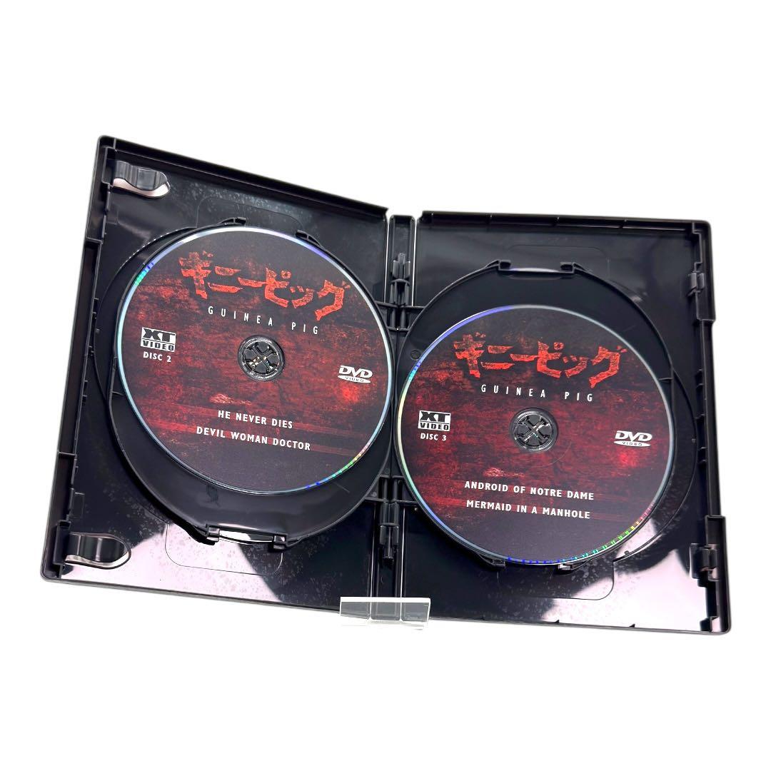 ギニーピッグ GINI PIGGU 完全版 DVDボックス
