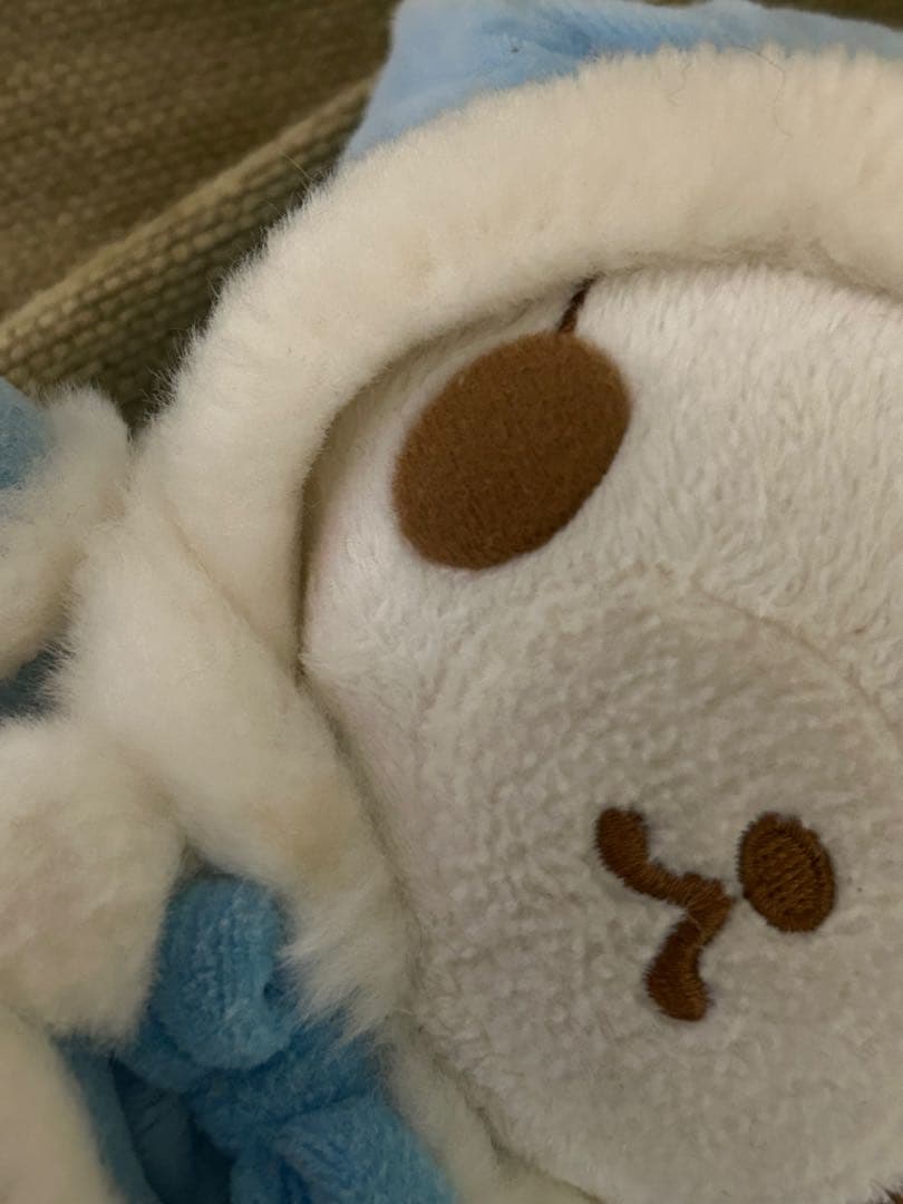 シュガーバニーズ