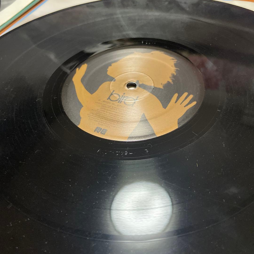 bird「空の瞳」バード　レコード　Latin Edition ４枚セット