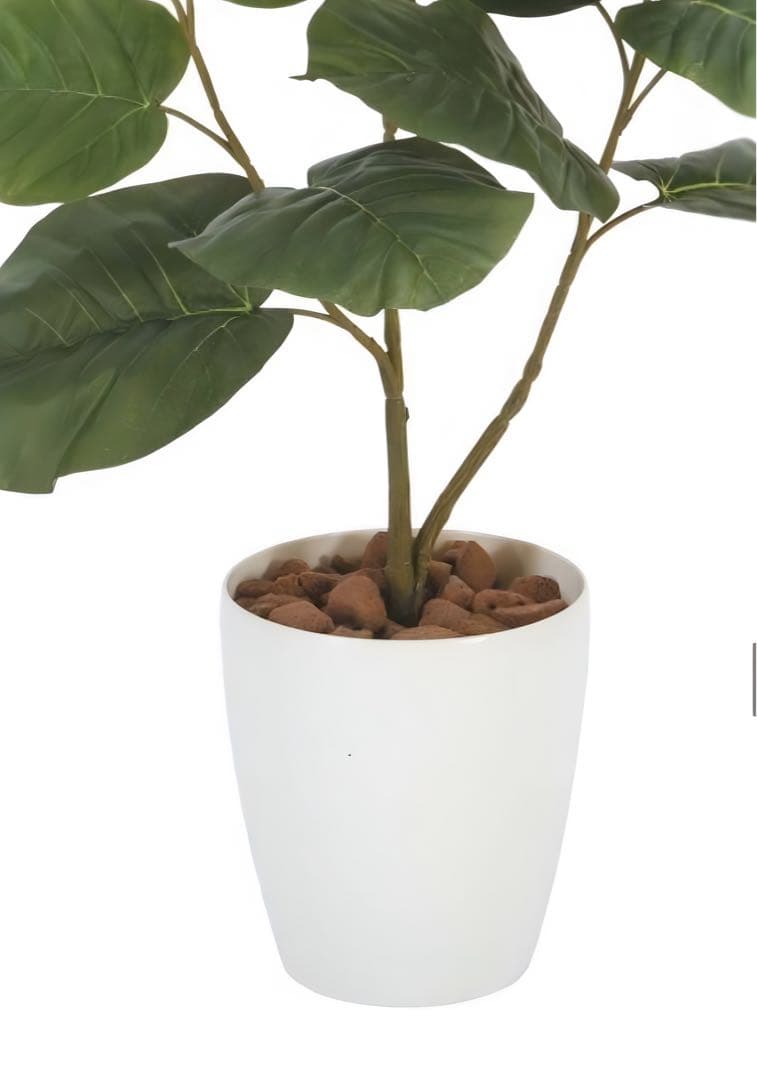 光触媒　人工観葉植物　フェイクグリーン　ウンベラータ高さ80センチ