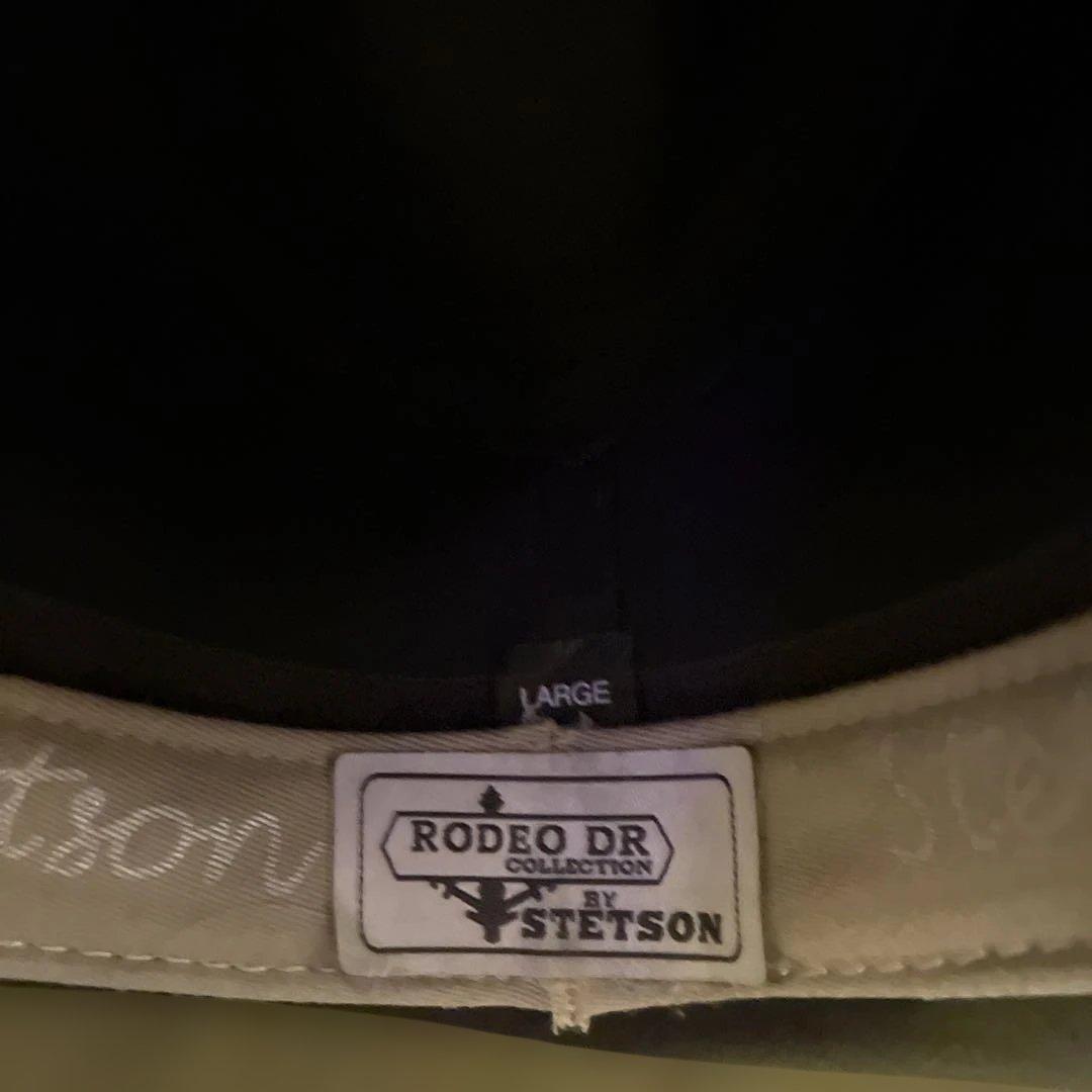 STETSON ステットソン レザーハット ウェスタン カウボーイ テンガロン