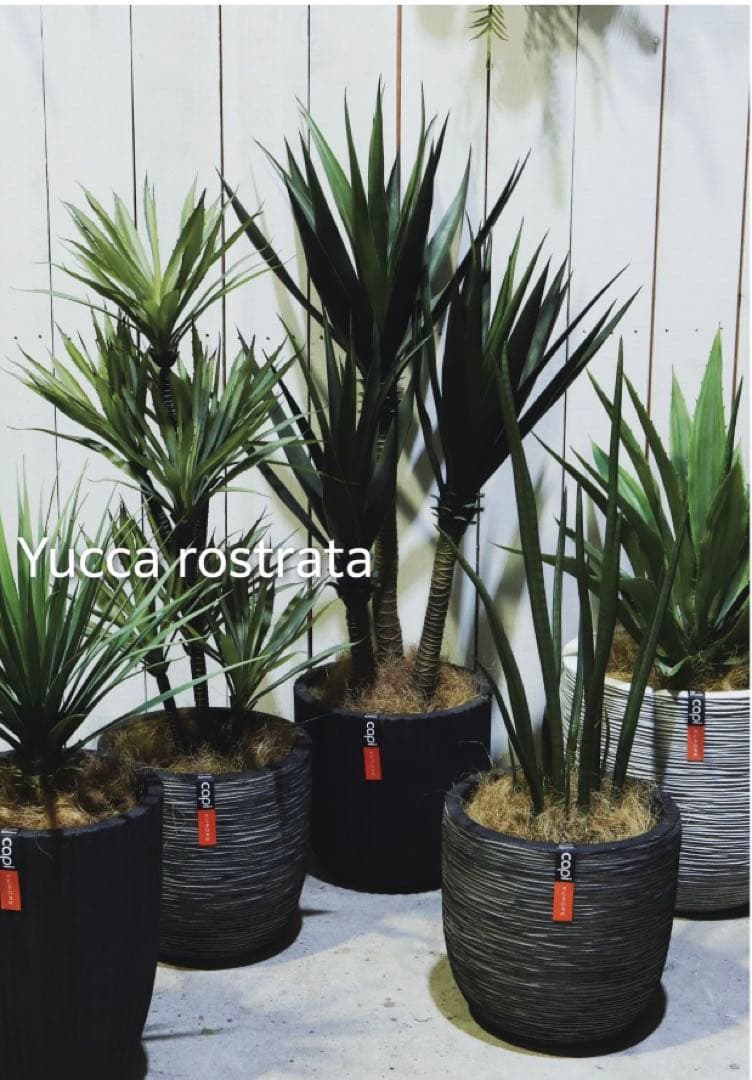 光触媒　人工観葉植物　ウォールグリーン　フェイクグリーン　サンスベリアスタッキー