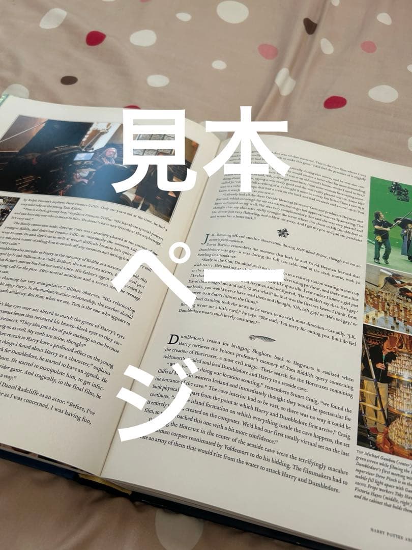 ハリーポッター映画大全　Harry Potter page to screen