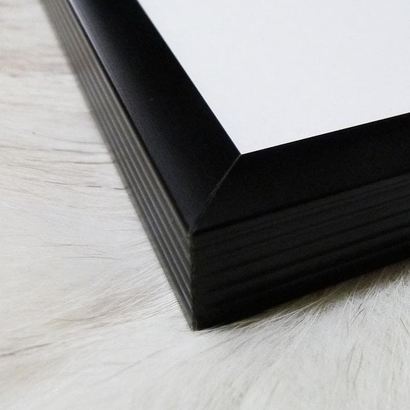 額装品/Untracked  (パタゴニア）/アートポスター