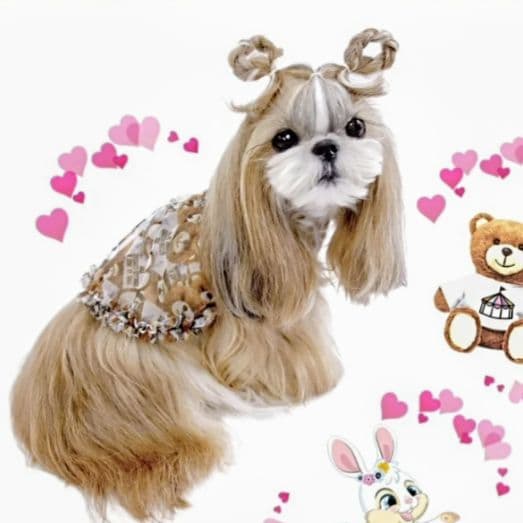 XSワンピース3点+スヌード2点の5点セット　サーカスサーカスCIRCUSCIR