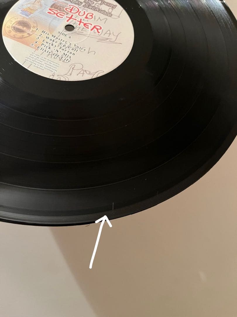 Lee Perry Dub Setter LPレコード　MURO