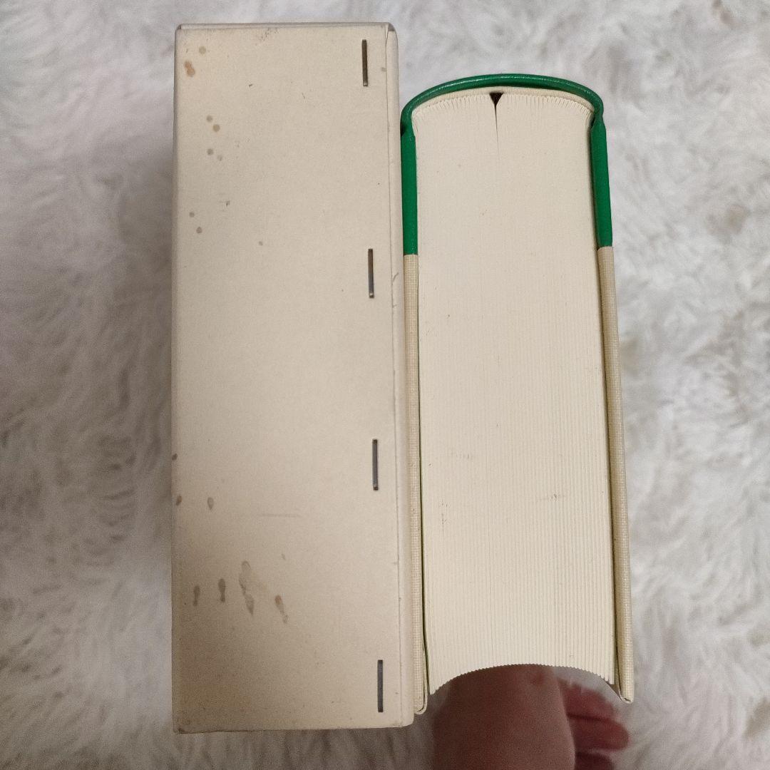 ※アイルランド・ゲール語辞典　大学書林