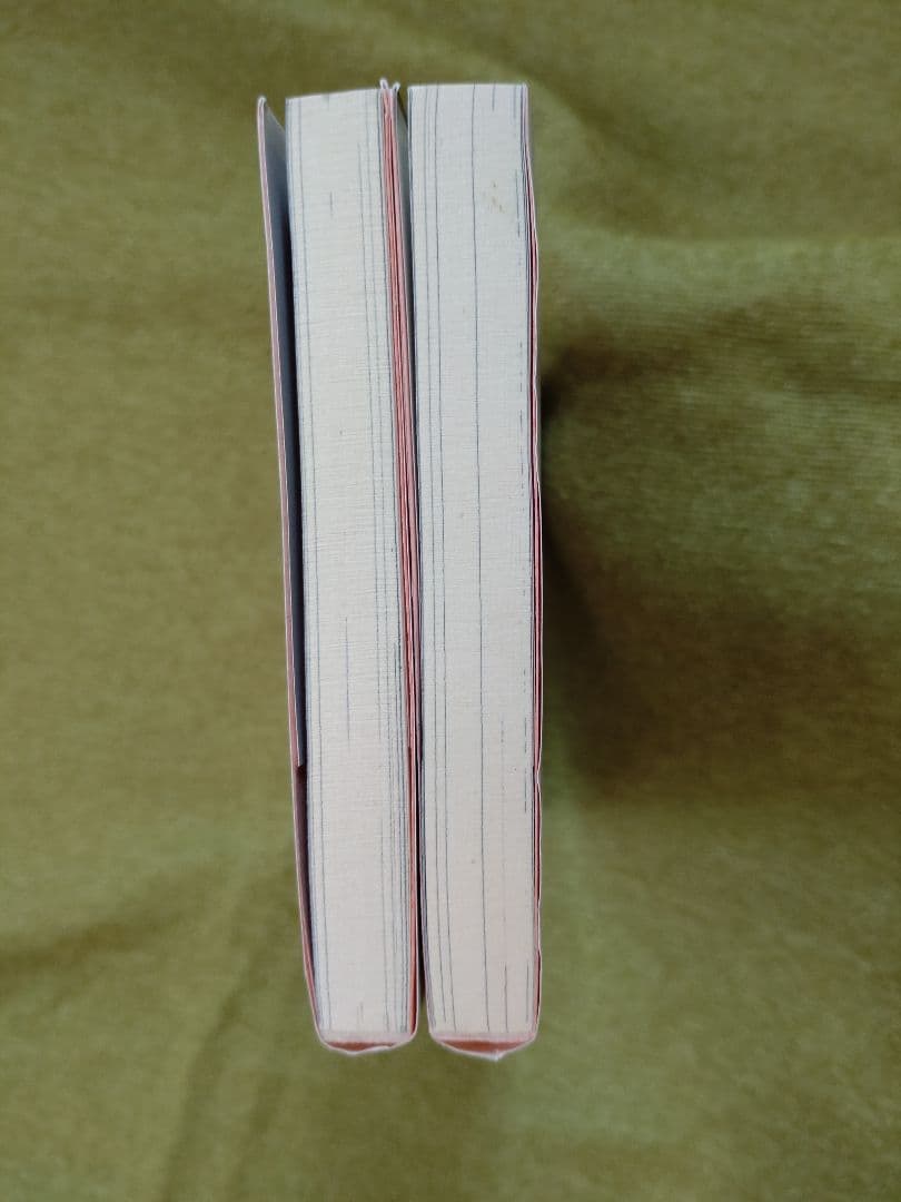 Devil may cry デビルメイクライ 1巻 2巻 セット 文庫