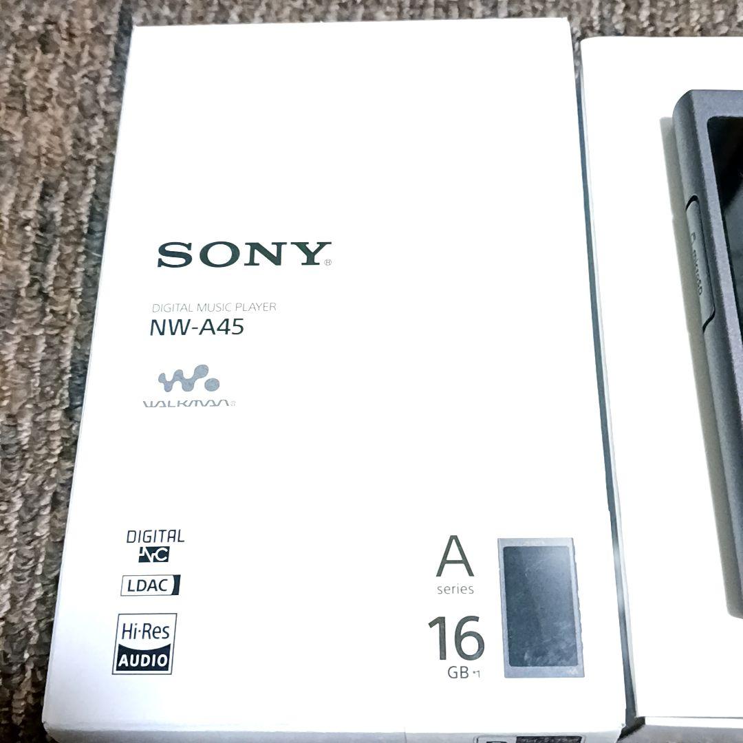 SONY WALKMAN NW-A45 グレイッシュブラック