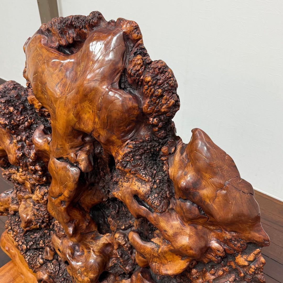 H21K45 巨大 天然木 瘤 衝立 コブ 木製オブジェ