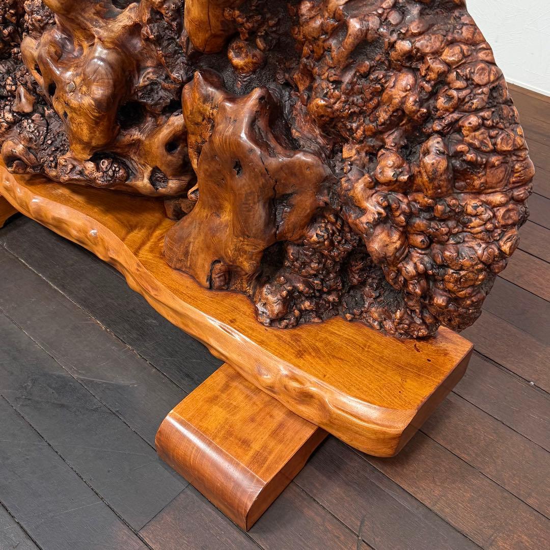 H21K45 巨大 天然木 瘤 衝立 コブ 木製オブジェ
