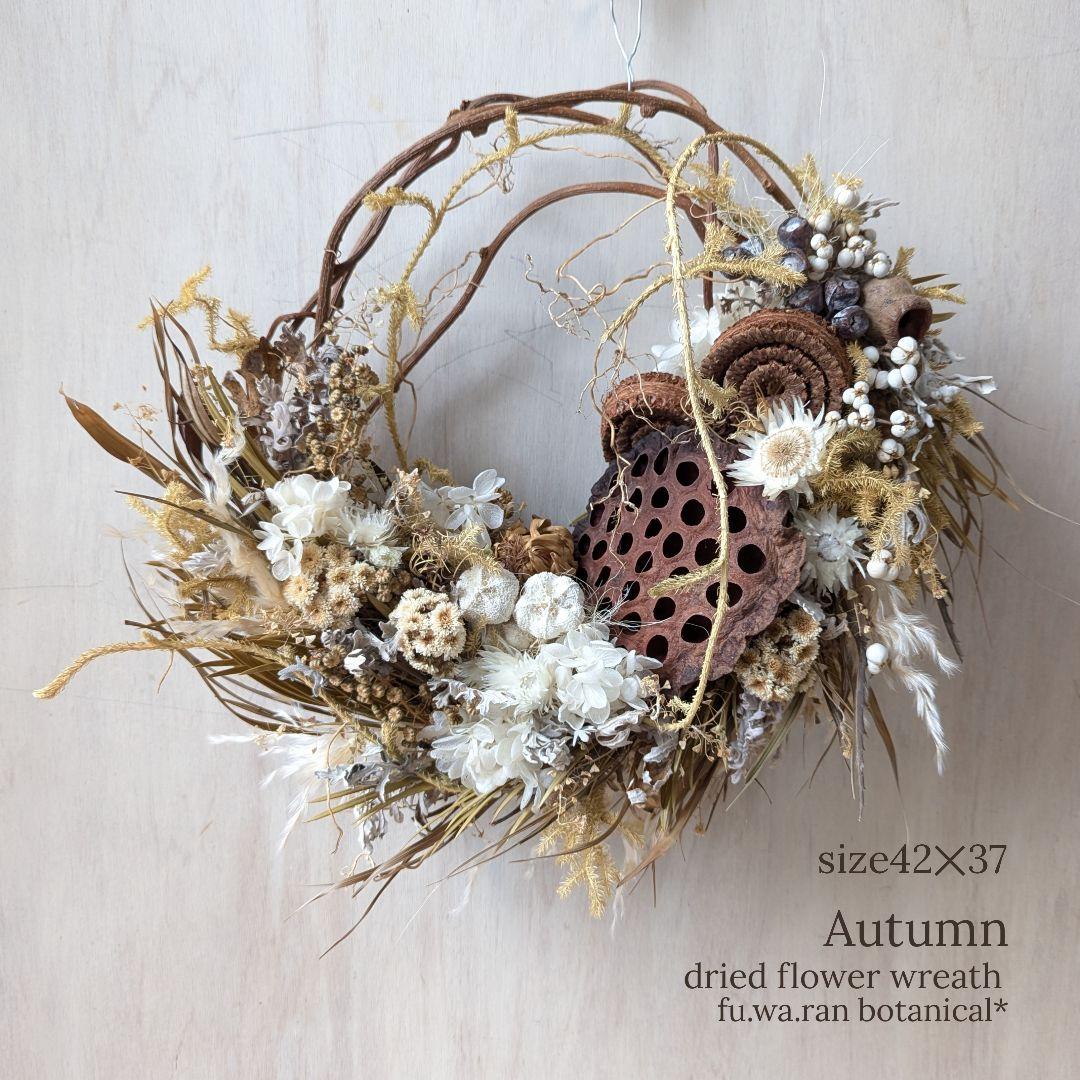 専用＊size42✕37＊ハスの実　セピアカラーの大きなドライフラワーリース