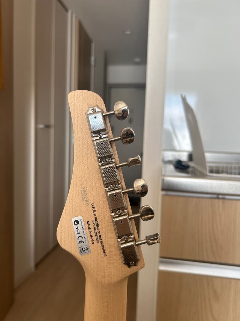 ギター FGN EOS-ASH-M