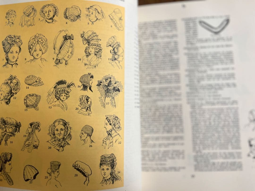 Dictionnaire du Costumeフランス語コスチューム辞典 希少？