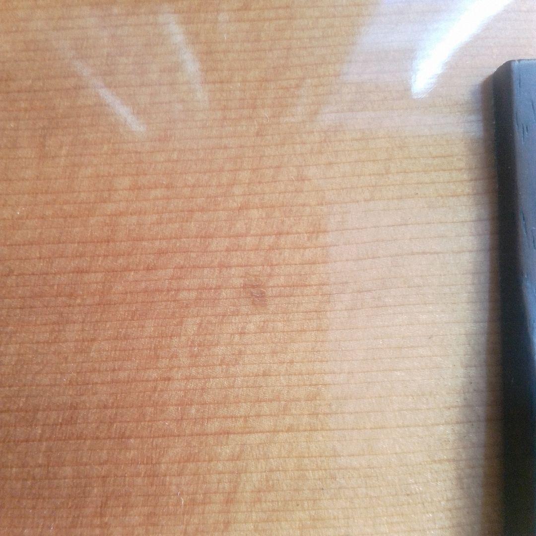 Recording King RO-27 アコースティックギター ケース付き