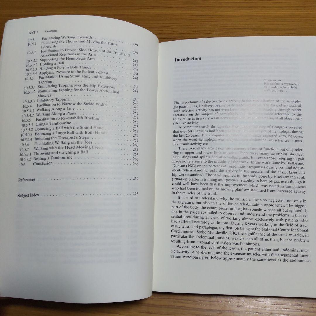 超希少‼️ライト イン ザ ミドル‼️原著‼️