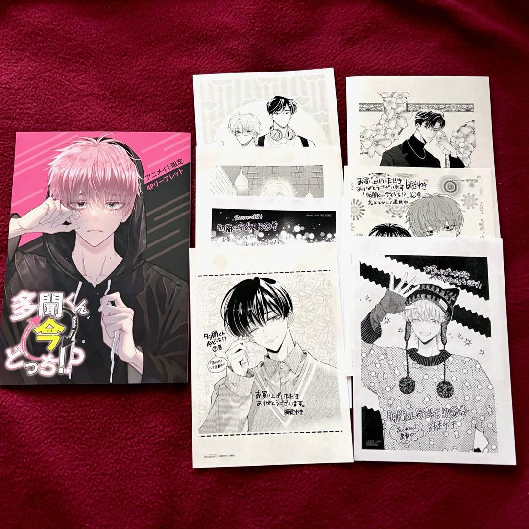 全巻初版帯付き 多聞くん今どっち⁉︎ 1〜12巻 全巻 特装版 小冊子付き