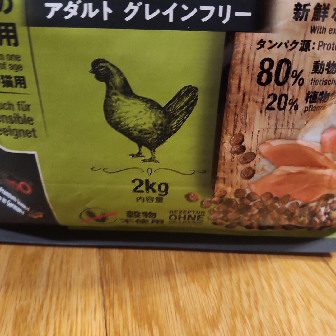 キャットフード　3個セット