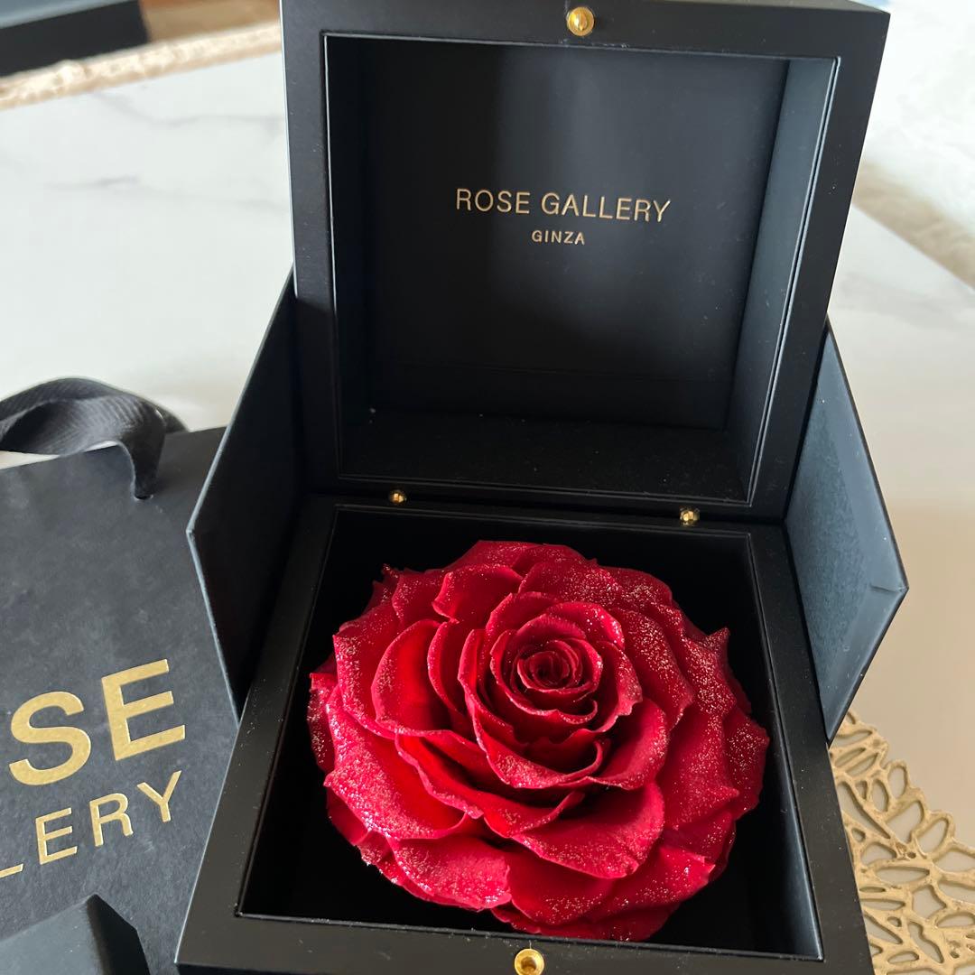 ROSE GALLERY L size レッドローズ