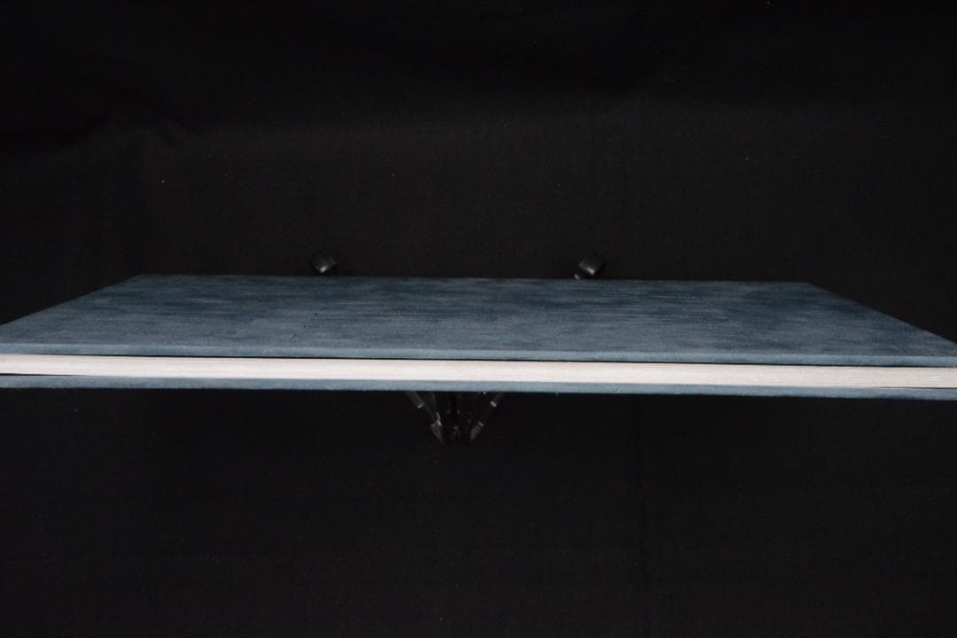 Blue Mud Swamp：Filipe Casaca　★大幅に値下げしました