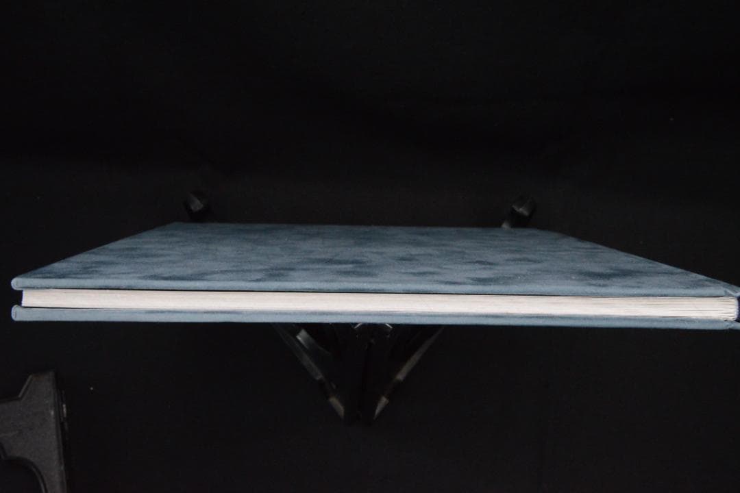 Blue Mud Swamp：Filipe Casaca　★大幅に値下げしました