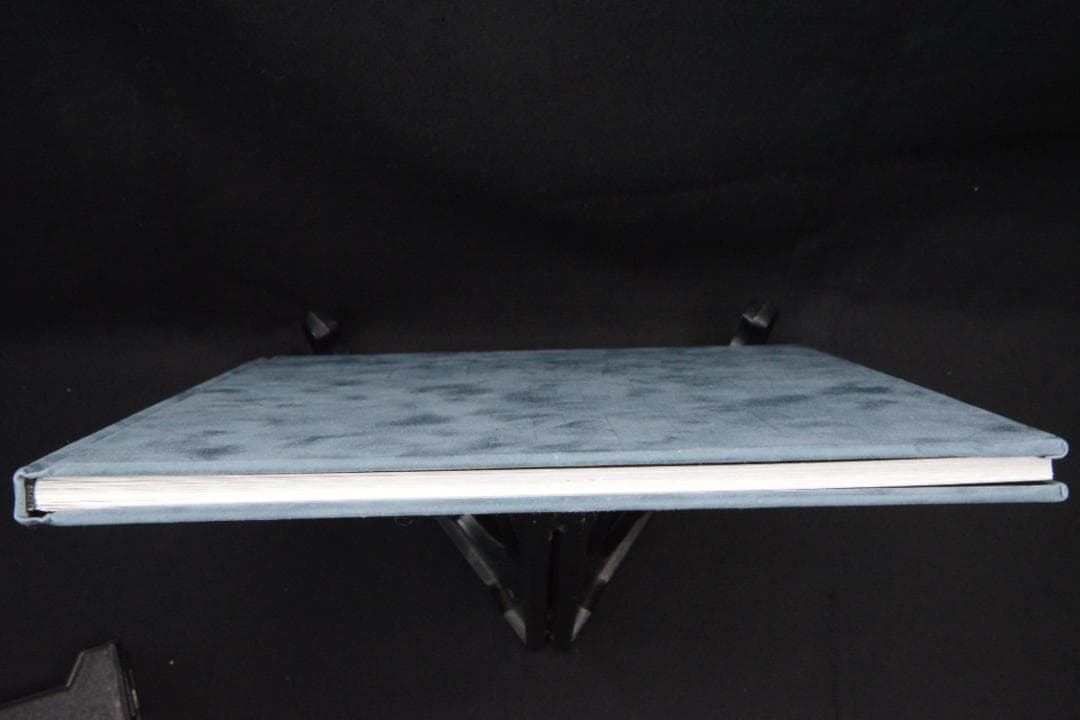 Blue Mud Swamp：Filipe Casaca　★大幅に値下げしました