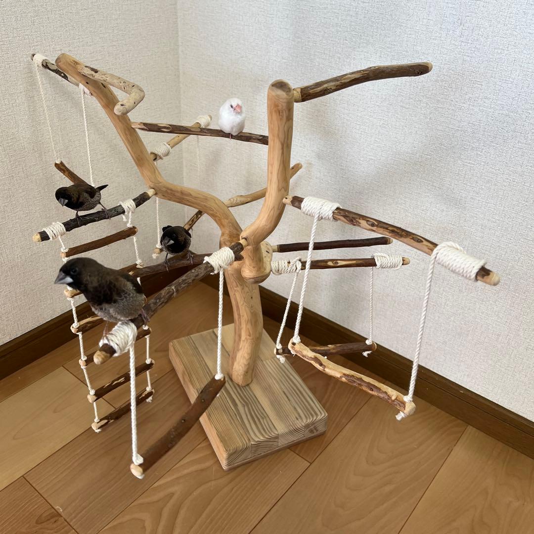 【小鳥用】わぃわぃ楽しい♬ブランコ&ハシゴ付 バードアスレチック