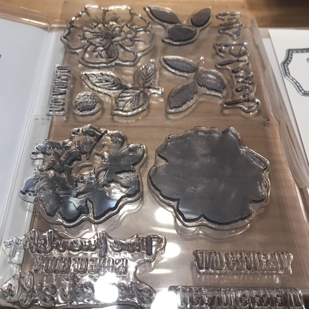 未使用　スタンピンアップ　wild rose 薔薇スタンプ & ダイのセット