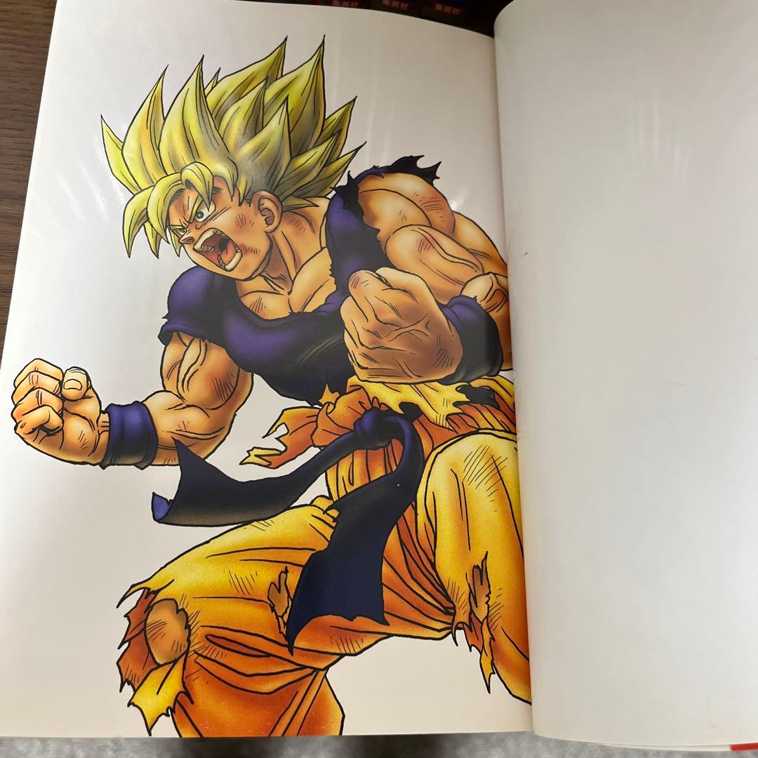 ドラゴンボール 完全版 全３４巻セット