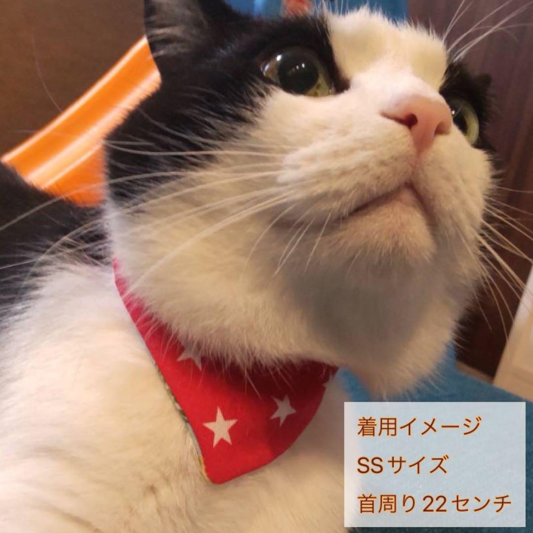 犬ネコ用リバーシブルバンダナ★着用イメージ写真★