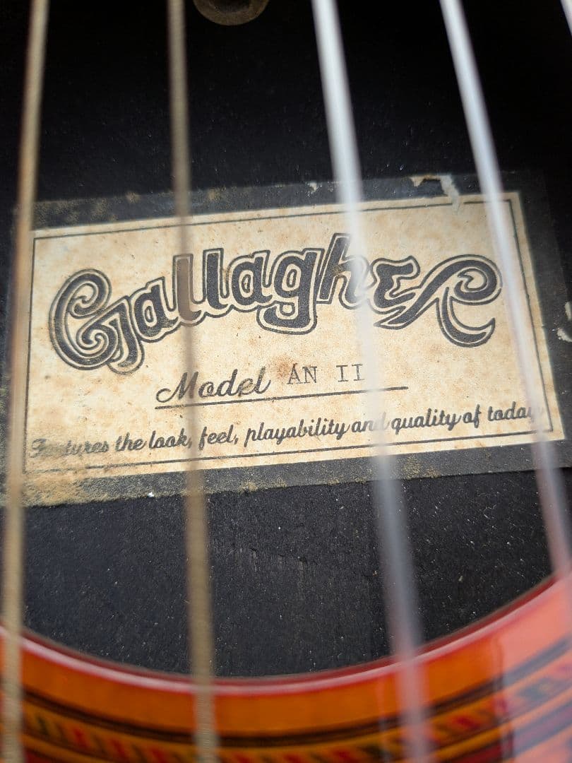 Gallagher ギャラガー エレガット ギター ANⅡ エレアコ 動作OK