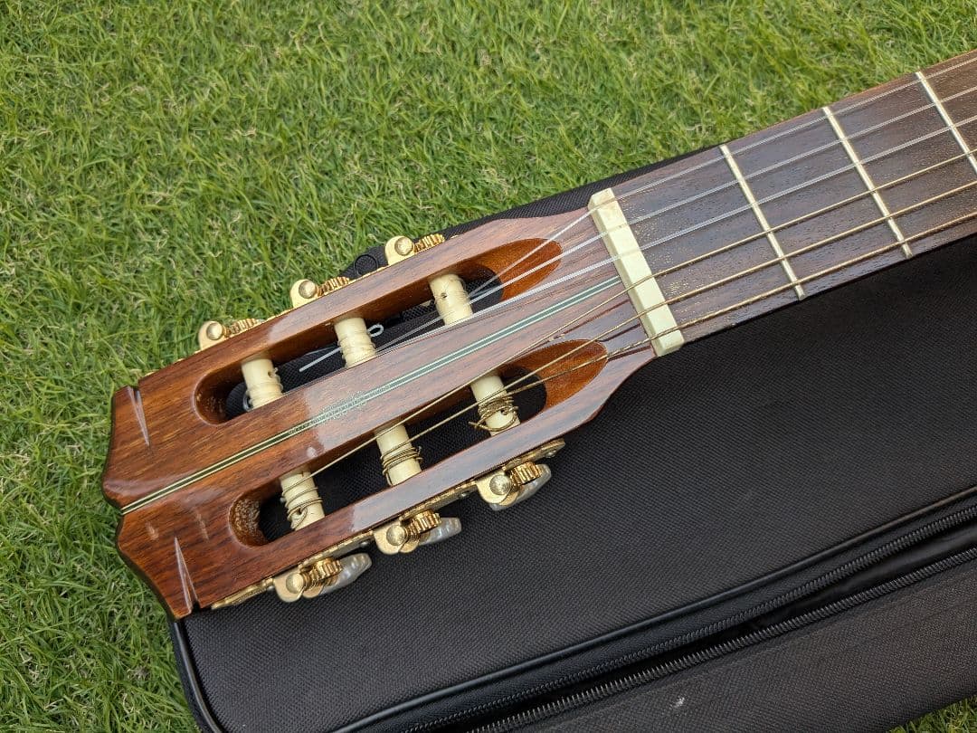 Gallagher ギャラガー エレガット ギター ANⅡ エレアコ 動作OK