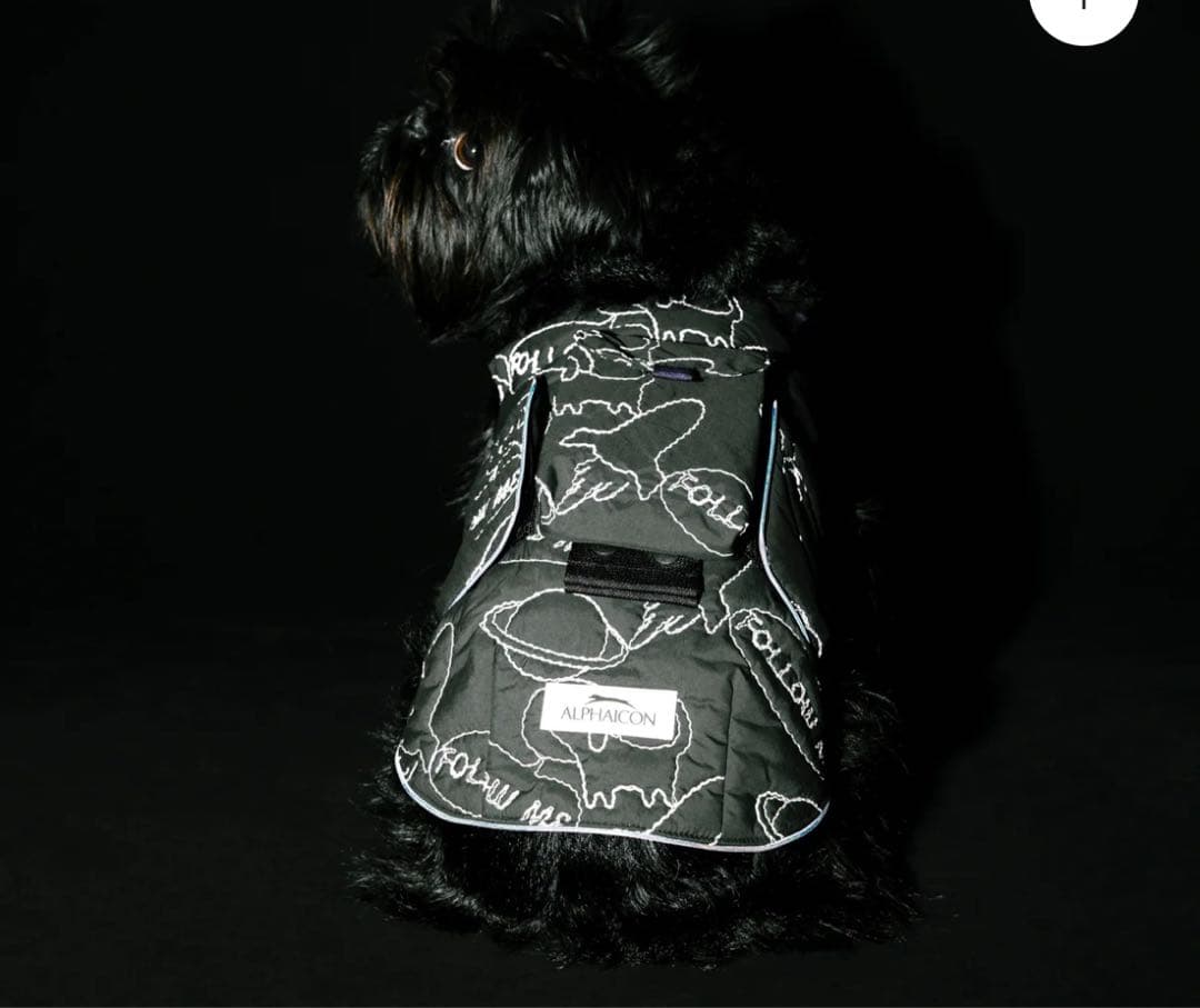 アルファアイコンエアライナー ➕ポケットセット サイズS 新品未使用未開封