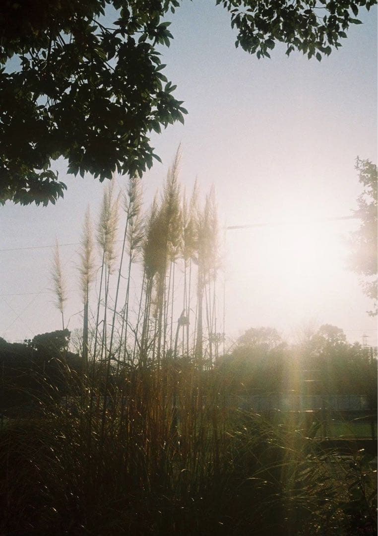 Olympus Pen EE フィルムカメラ　ハーフカメラ